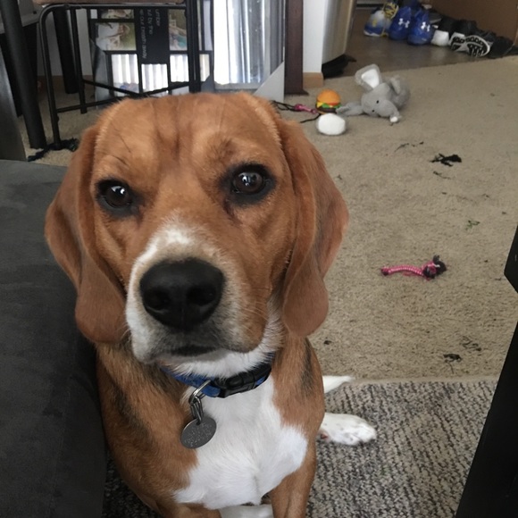 Meet your Posher, Kels - Picture 1 of 3